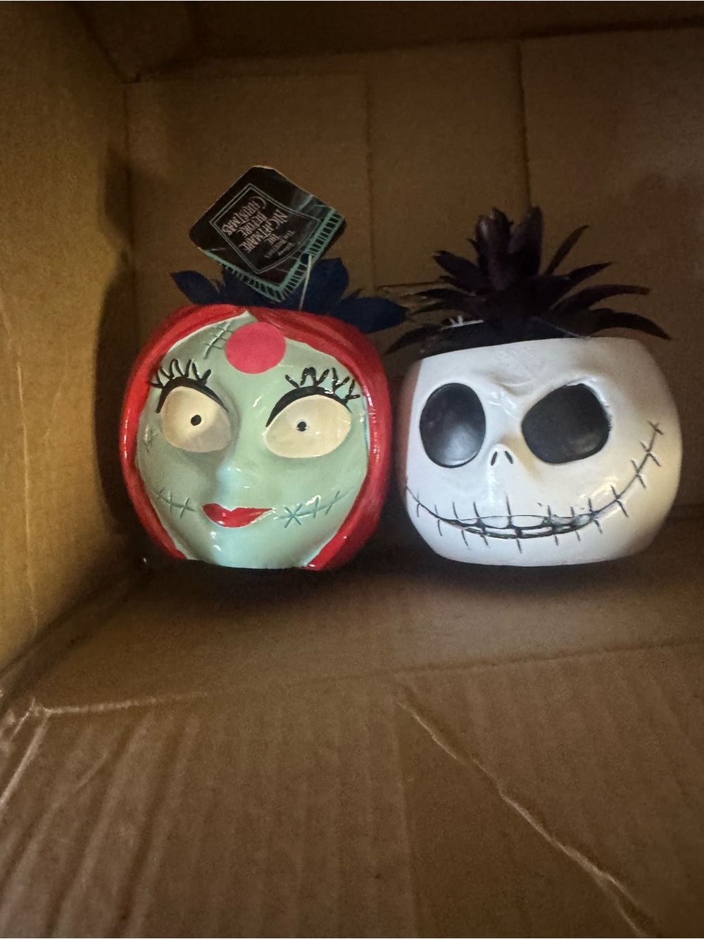 Nightmare Character Jack & Sally succulents